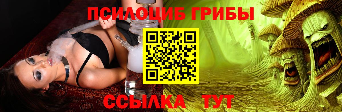Армавир  Галлюциногенные грибы Magic Shrooms  Галлюциногенные грибы Magic Shrooms  Вход с VPN 